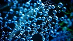 Close-up web water drops