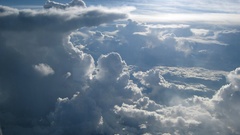 Cloud creatures amidoinitright nature