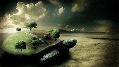 Clouds abstract turtles HDR Photography