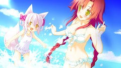 Clouds Anime Beaches long hair skies animal ears bikini