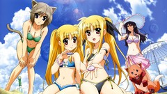 Clouds Anime Beaches skies mahou shoujo lyrical nanoha mahou 