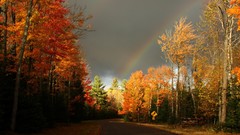 Clouds autumn colors multicolor forests