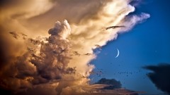 Clouds Birds