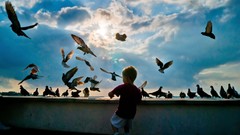 Clouds Birds Boys! rooftops