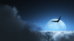 Clouds Birds moon artwork