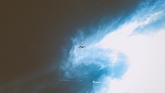 Clouds Birds seagulls skyscapes