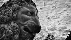 Clouds black and white monochrome Lions sculptures lion saint 