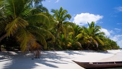 Clouds Boats palm trees Beaches tropical