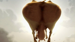 Clouds Cows skyscapes