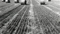 Clouds fields outdoors hay