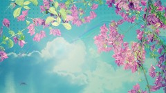 Clouds Flowers spring bright