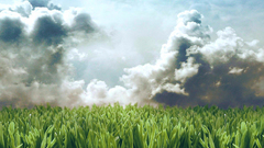 Clouds grass