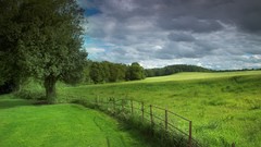 Clouds grass fields