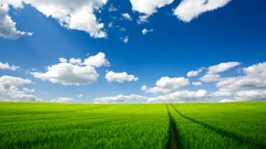 Clouds green field skyscapes