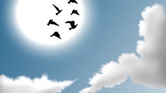 Clouds heaven Birds vectors
