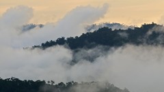 Clouds hills