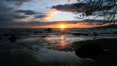 Clouds Landscapes coast Trees