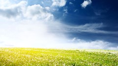 Clouds Landscapes dandelions