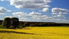 Clouds Landscapes fields blue