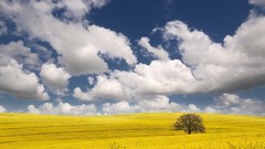 Clouds Landscapes fields hills
