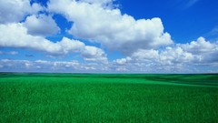 Clouds Landscapes fields skyscapes