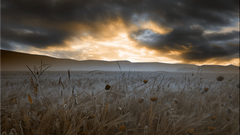 Clouds Landscapes Flowers fields