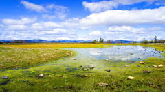 Clouds Landscapes grass