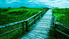 Clouds Landscapes grass