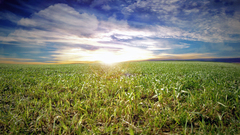 Clouds Landscapes grass