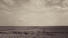 Clouds Landscapes grass fields