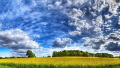 Clouds Landscapes grass fields