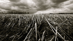 Clouds Landscapes monochrome