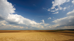 Clouds Landscapes nature crops
