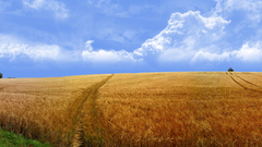 Clouds Landscapes nature fields