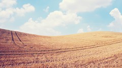 Clouds Landscapes nature fields