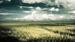 Clouds Landscapes nature grass