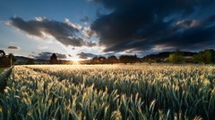 Clouds Landscapes nature sun