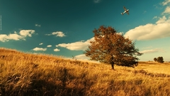 Clouds Landscapes nature Trees