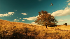 Clouds Landscapes nature Trees