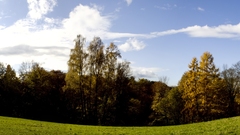 Clouds Landscapes nature Trees