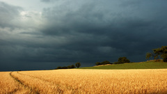 Clouds Landscapes nature Trees