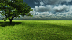 Clouds Landscapes nature Trees