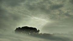 Clouds Landscapes nature Trees