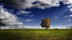 Clouds Landscapes nature Trees