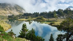 Clouds Landscapes nature Trees