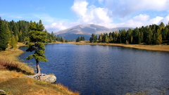 Clouds Landscapes nature Trees