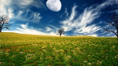 Clouds Landscapes nature Trees