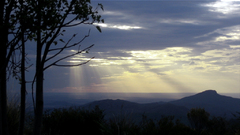 Clouds Landscapes nature Trees