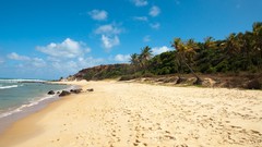 Clouds Landscapes palm trees