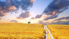 Clouds Landscapes roads